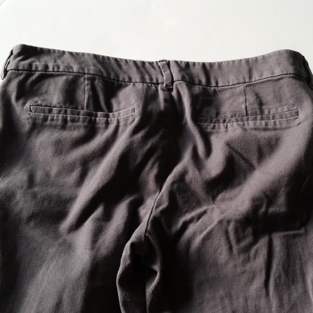 Gray Pixie Pants - image 4